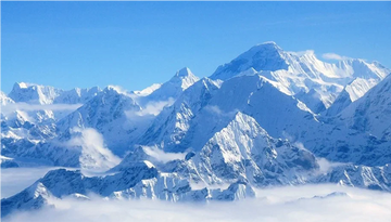 From Himalayas to Health Supplements: The Rise of Cordyceps