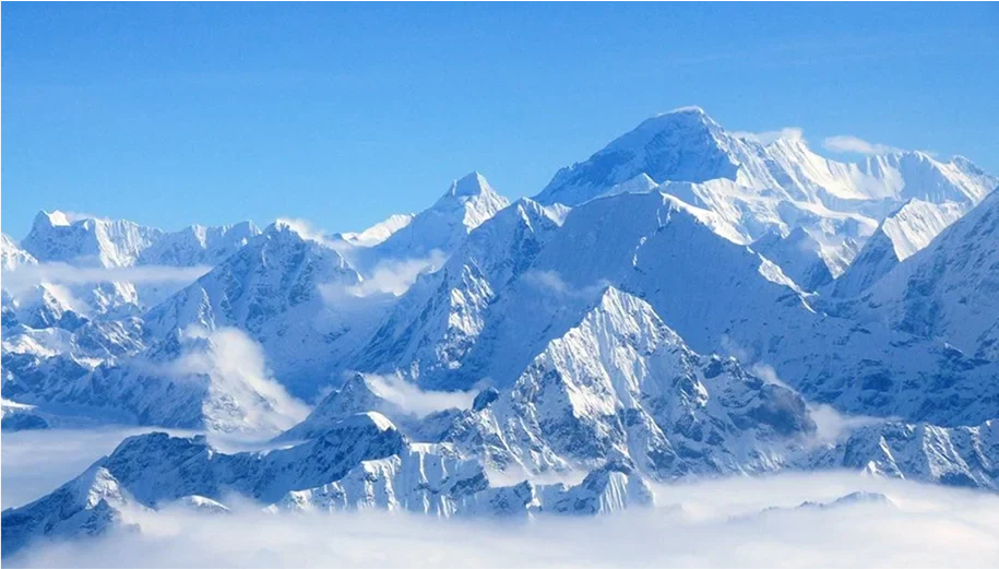 From Himalayas to Health Supplements: The Rise of Cordyceps