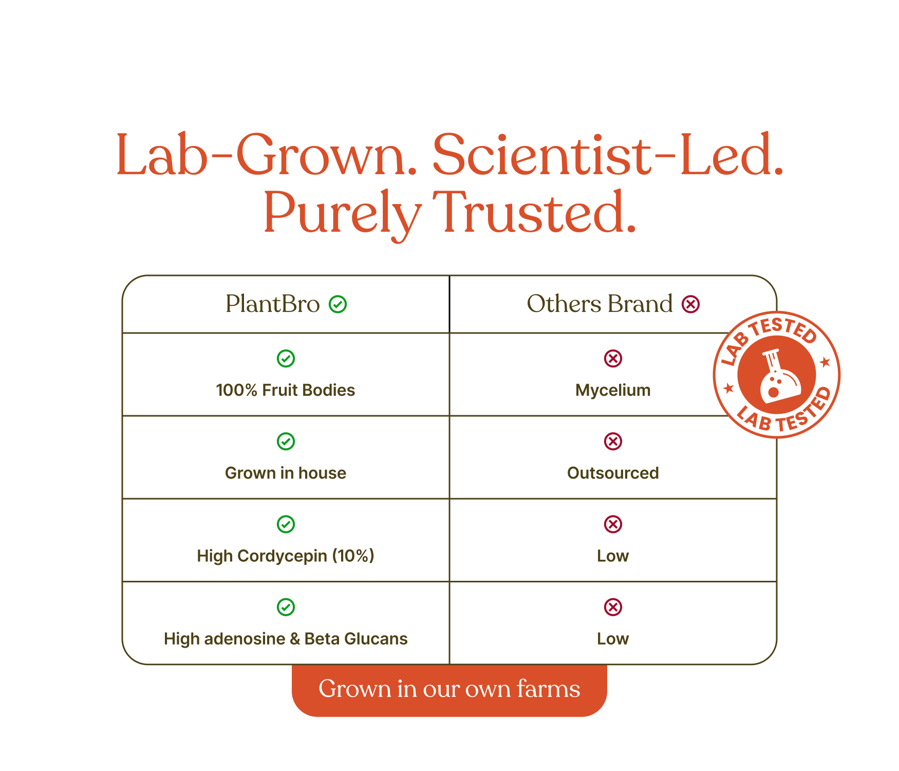 Organic Raw Cordyceps Militaris Mushroom (Keedajadi) | 100% Fruit Bodies | Vegan | Lab tested