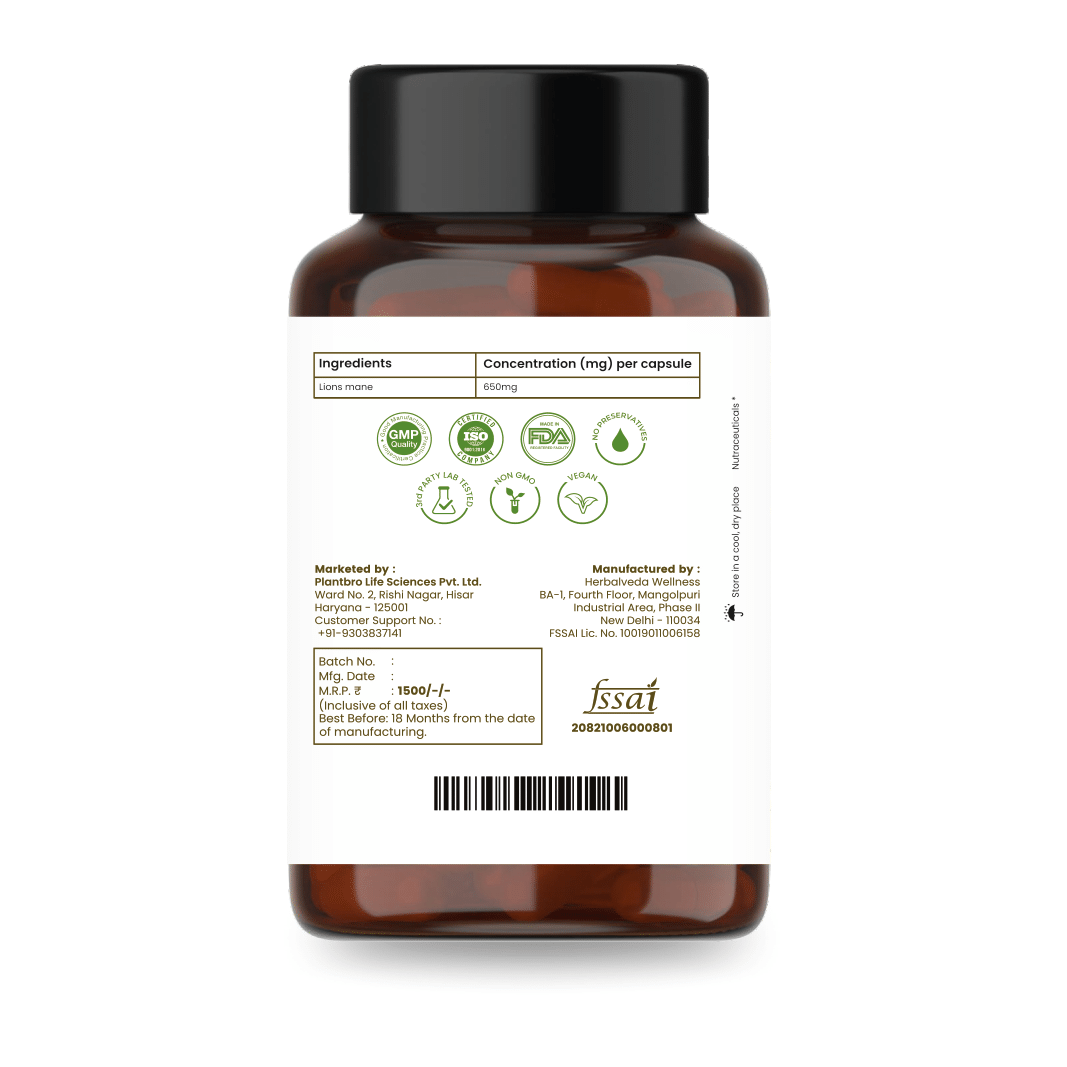 Lion's Mane Herbal Capsules