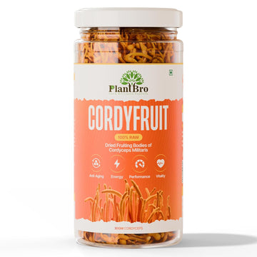 Organic Raw Cordyceps Militaris Mushroom (Keedajadi) | 100% Fruit Bodies | Vegan | Lab tested