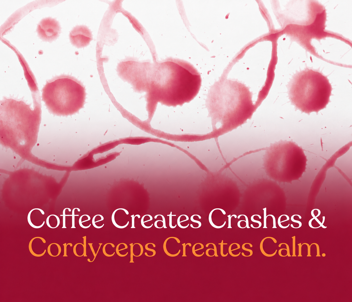 Cordyceps Militaris Extract Capsules | Grown by PlantBro | Traceable from Farm to Capsule.