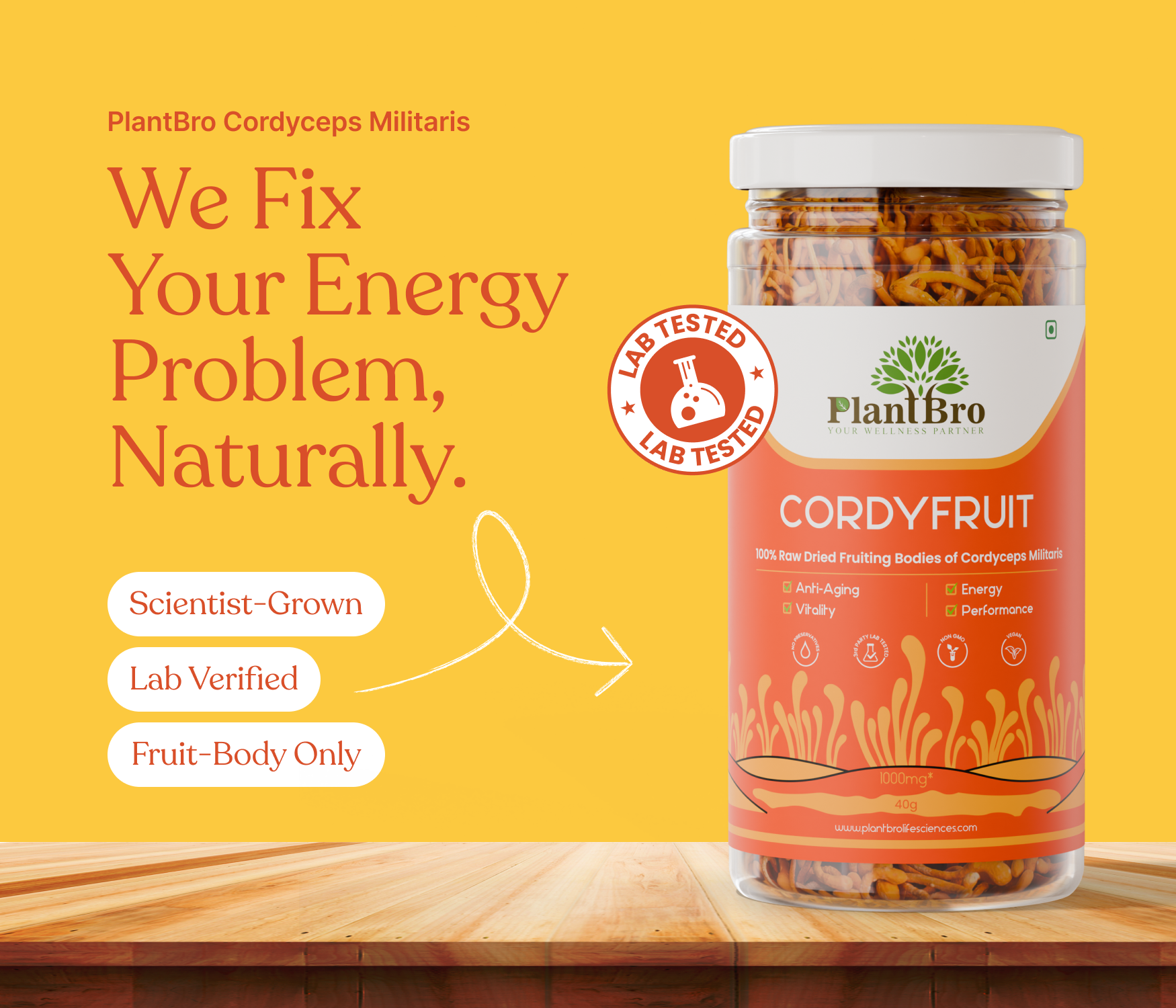 Organic Raw Cordyceps Militaris Mushroom (Keedajadi)