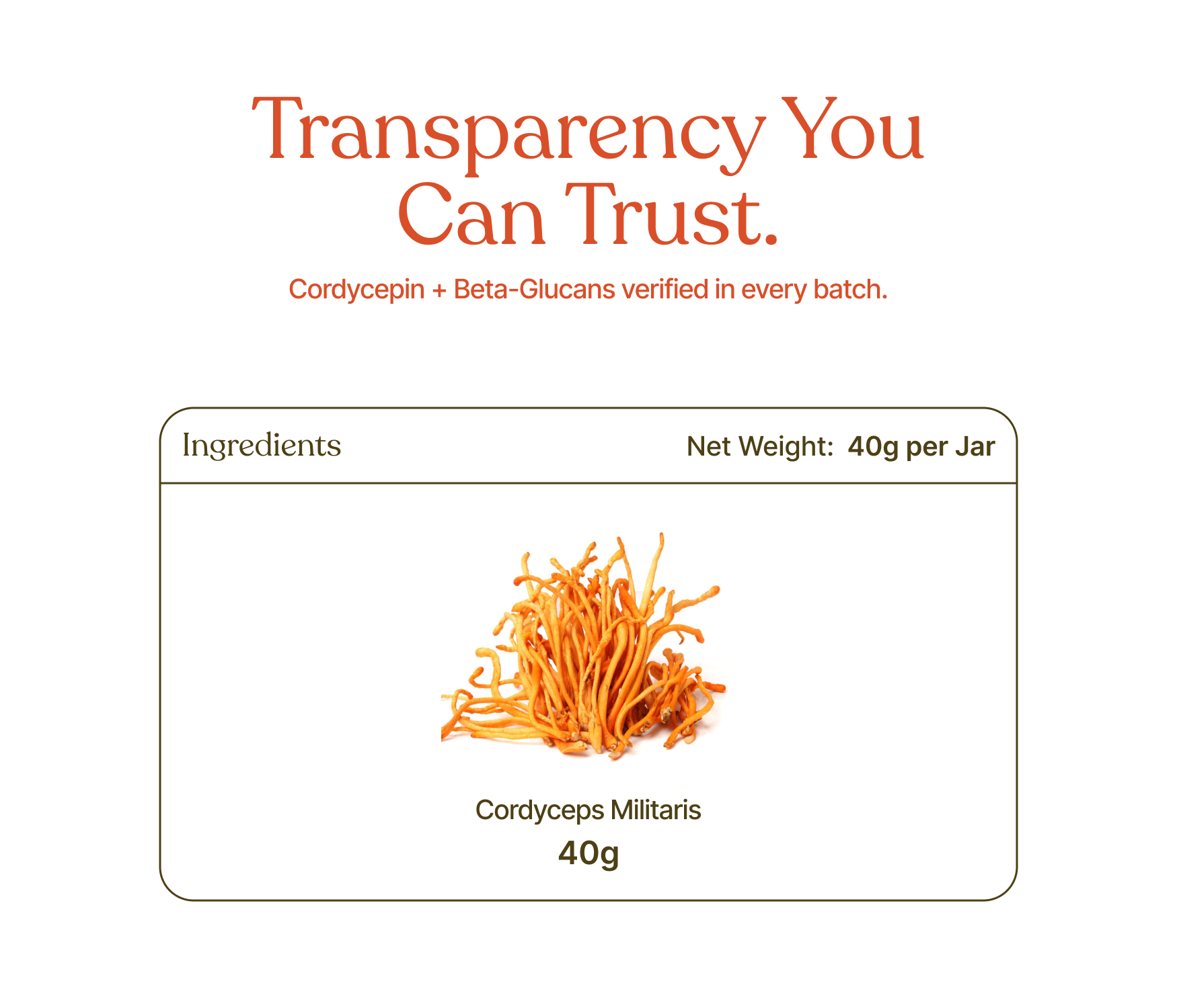 Organic Raw Cordyceps Militaris Mushroom (Keedajadi)