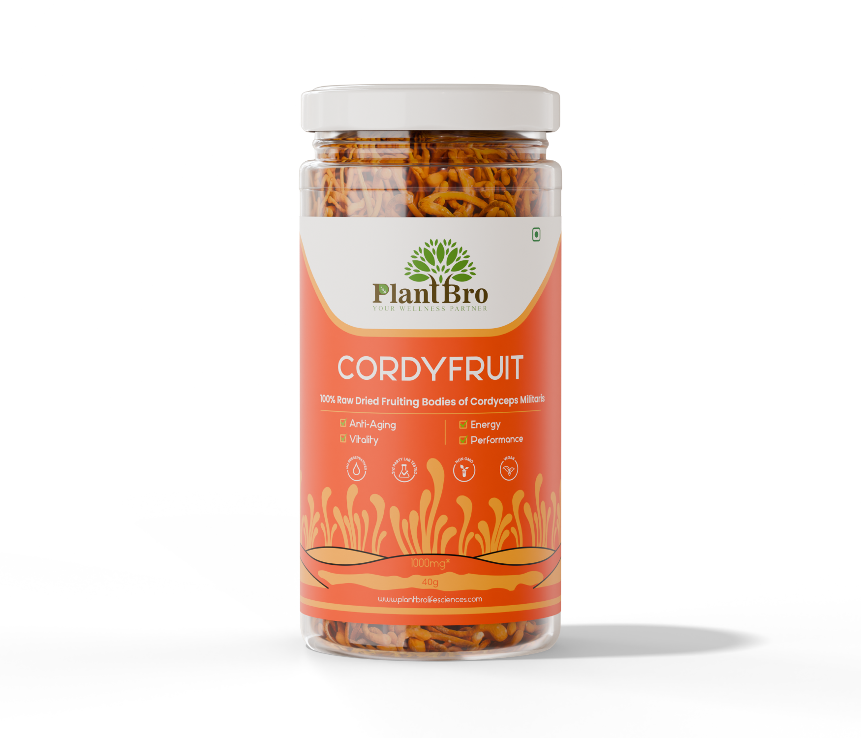 Organic Raw Cordyceps Militaris Mushroom (Keedajadi)