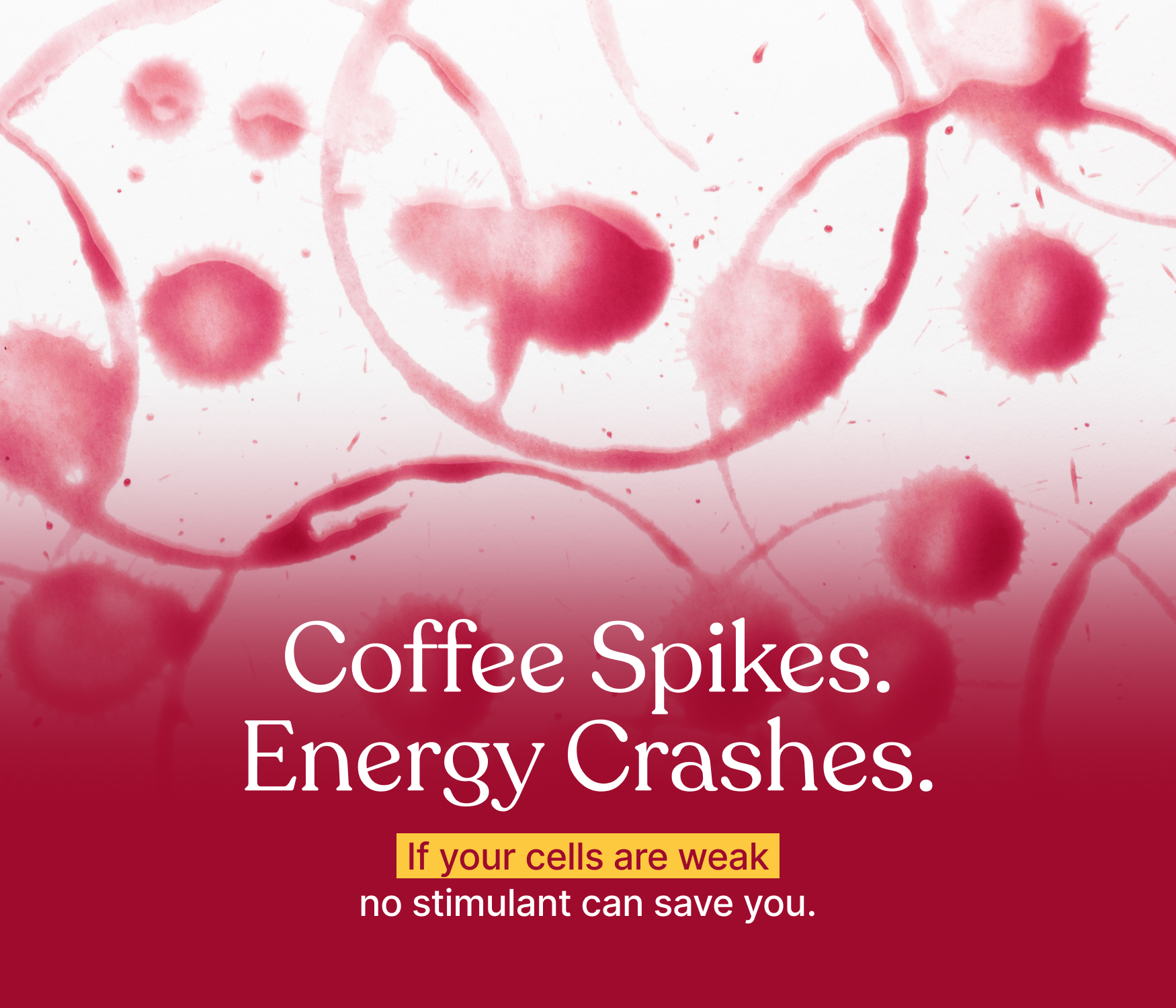 Cordyceps Militaris Mushroom Extract Capsules