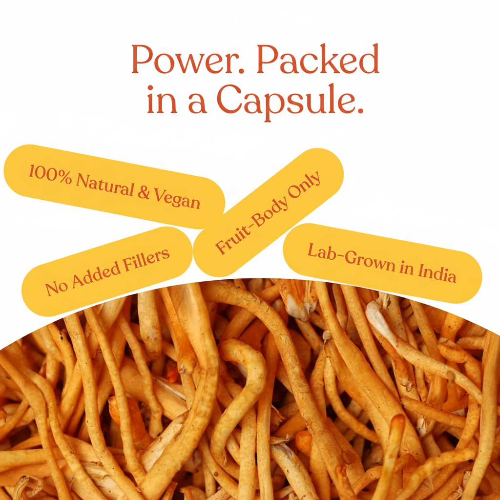 Cordyceps Militaris Extract Capsules | Grown by PlantBro | Traceable from Farm to Capsule.