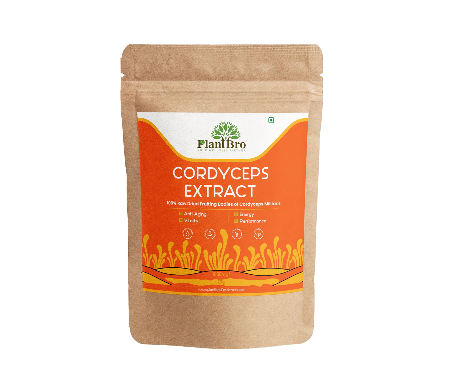 Organic Cordyceps Militaris (Keedajadi) Extract Powder — 25g