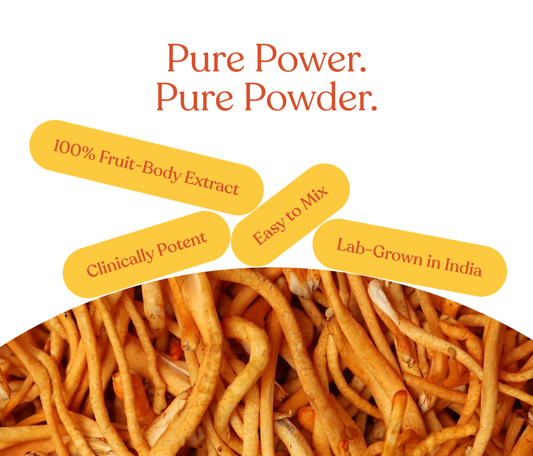 Organic Raw Cordyceps Militaris Mushroom (Keedajadi) | 100% Fruit Bodies | Vegan | Lab tested
