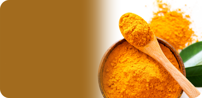 Organic<br> Turmeric<br>
Root Powder

