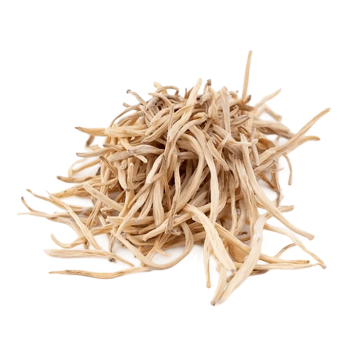 Cordyceps Mushroom