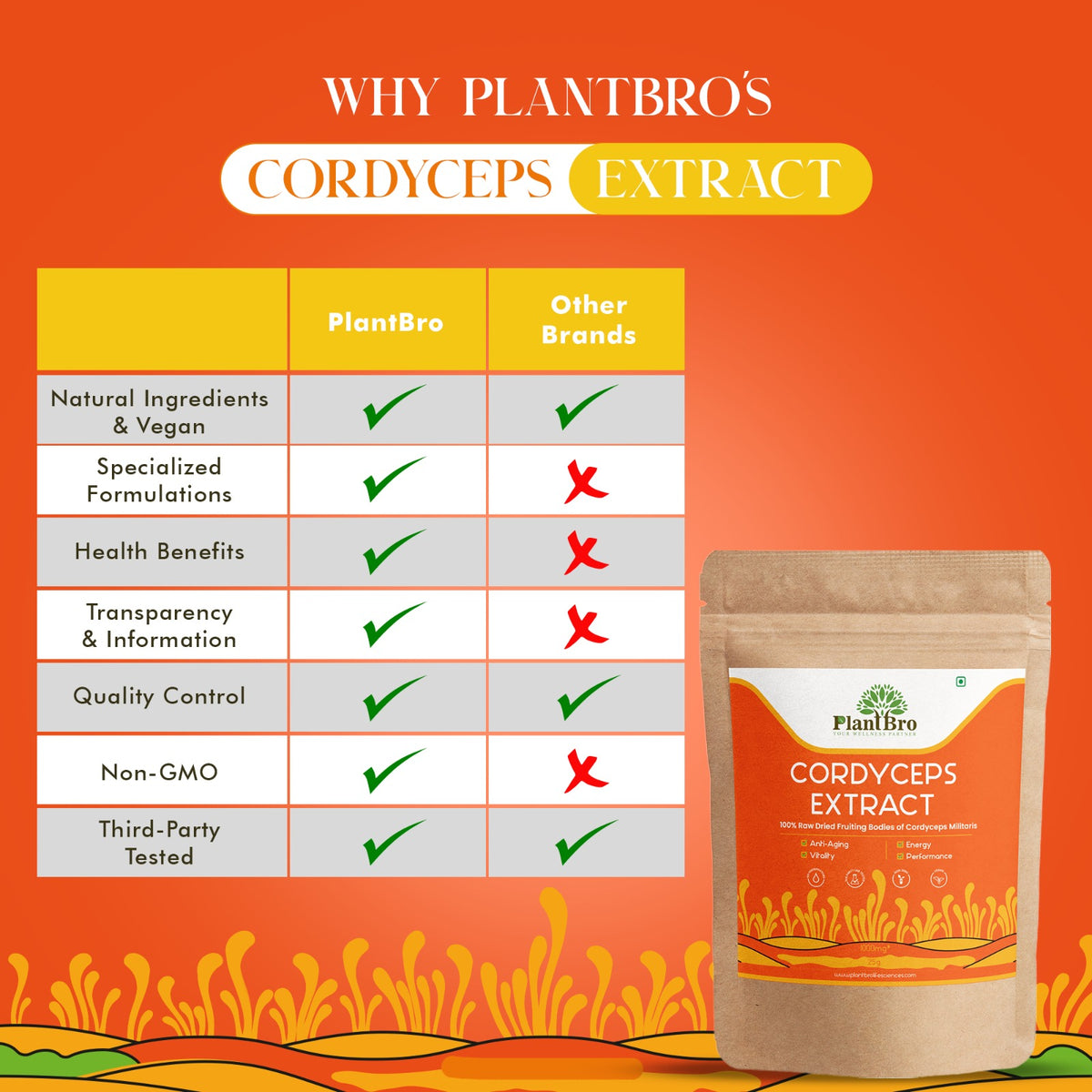 PlantBro Cordyceps Extract - 25gm | Natural and Organic Mushroom Extract For Health & Wellness | Helps In Supporting Energy, Endurance and Stamina | Healthy Vitality Supplement