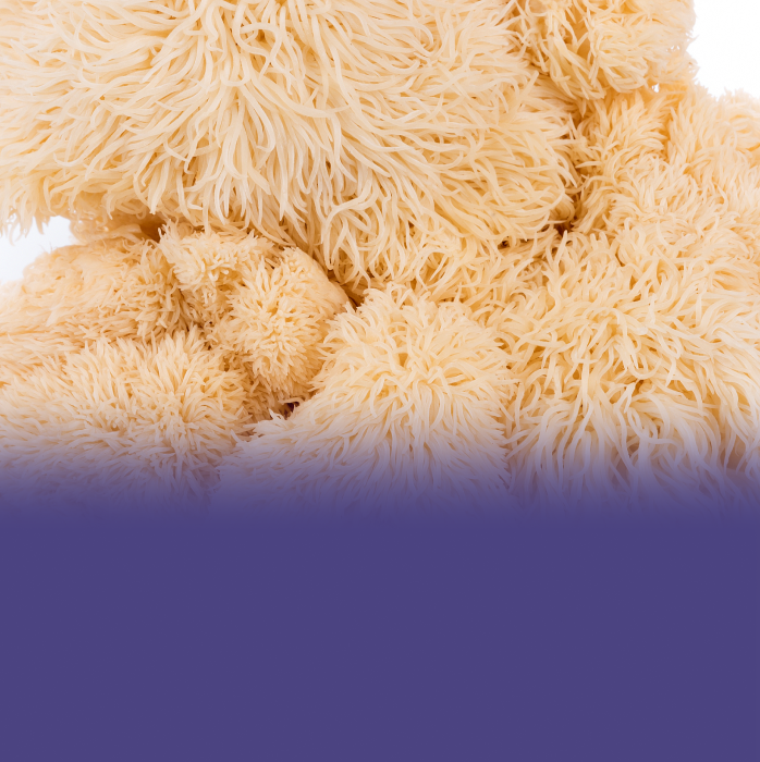 Lion’s Mane mushroom<br> extract (fruiting body only)