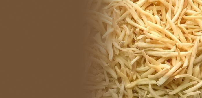 Nano Safed <br>Musli Extract 