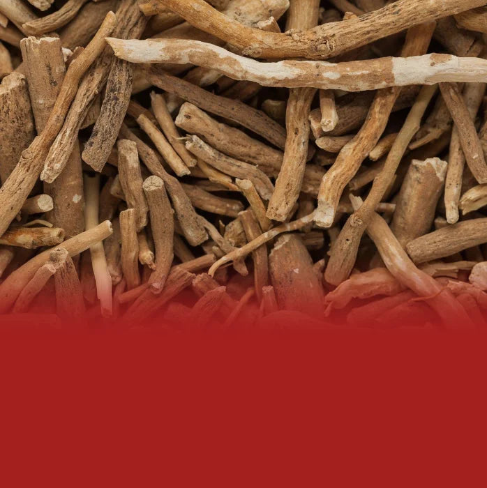 Organic Ashwagandha<br> Root Extract