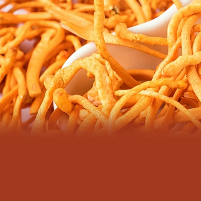 100% Organic<br> Cordyceps Militaris Extract