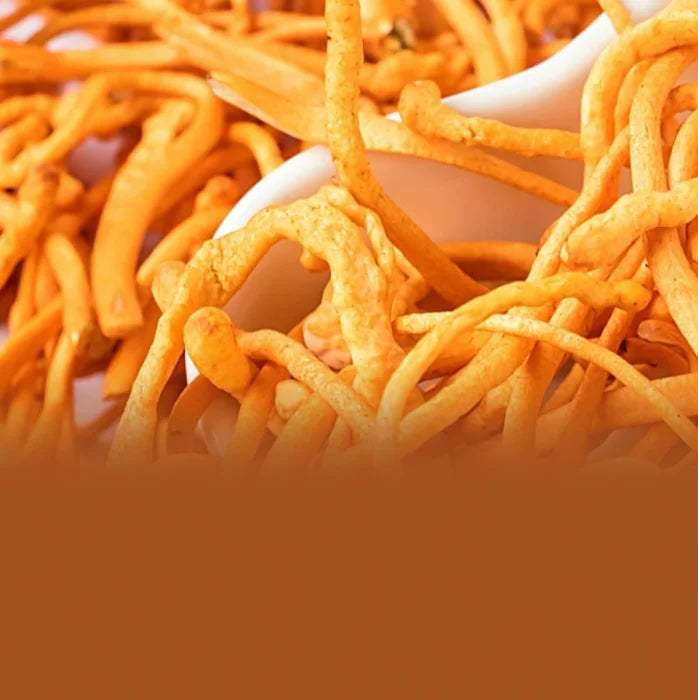 Cordyceps militaris <br>(fruiting body) extract