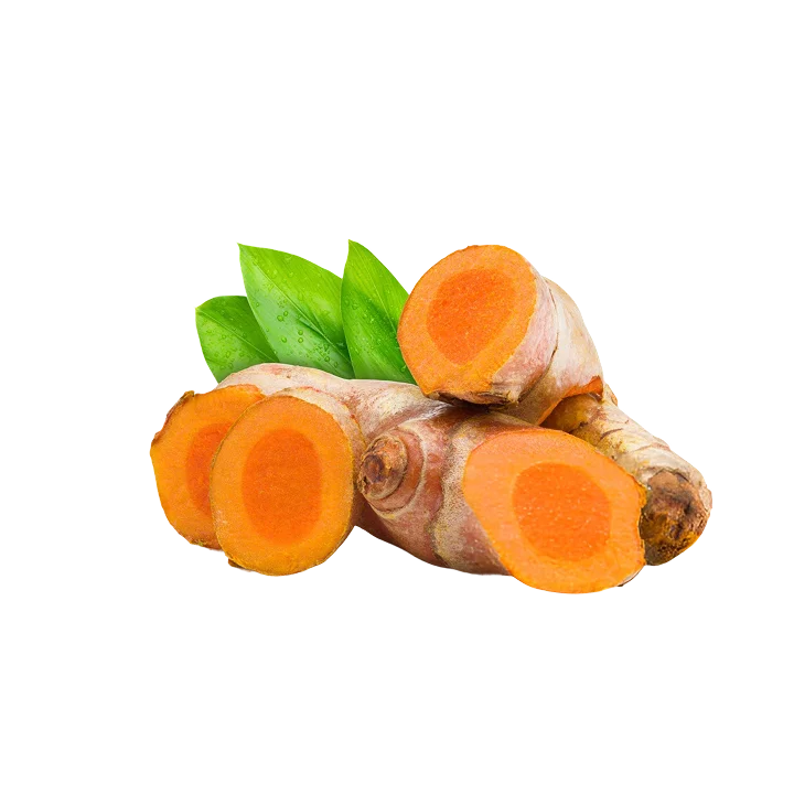 Cordyceps Mushroom