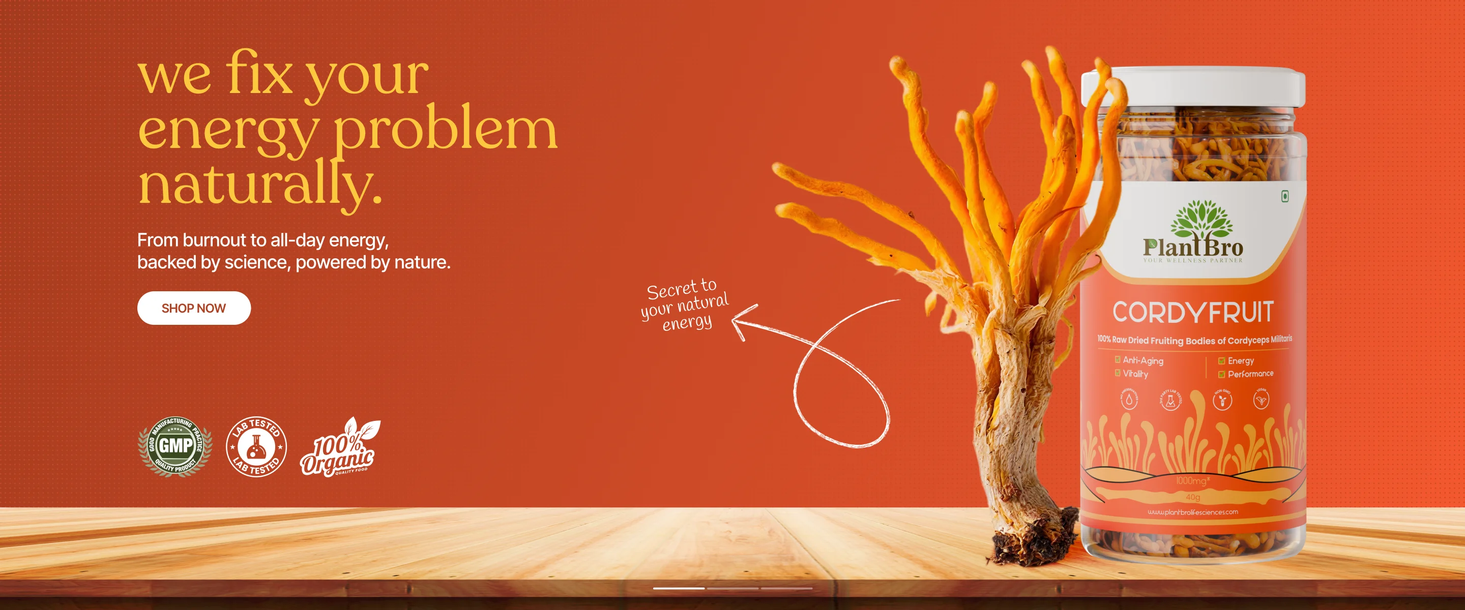 slider image 1621243260e1af0c20-2