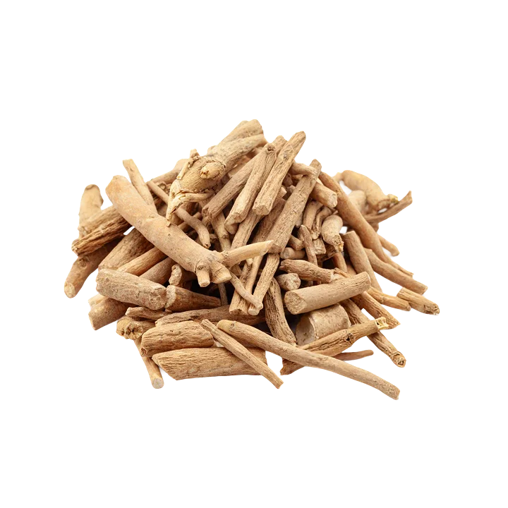 Cordyceps Mushroom