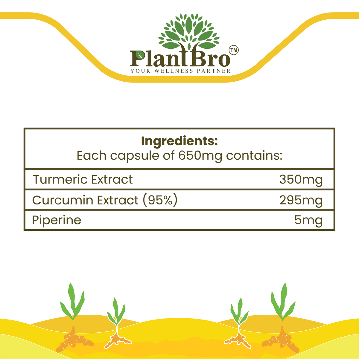 Turcuma